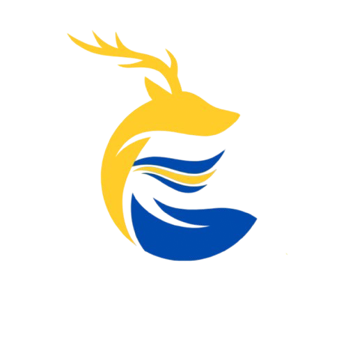 WIRISER RISE TOGETHER